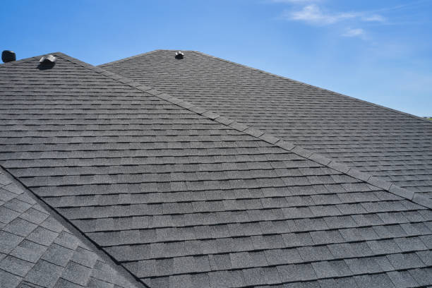 Best Roof Ventilation Installation  in Elizabeth City, NC