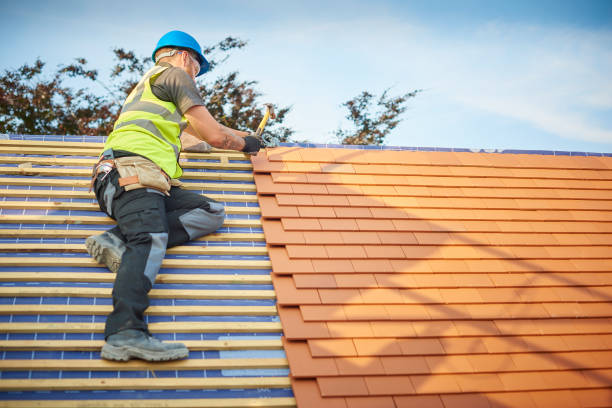 Best Metal Roofing Installation  in Elizabeth City, NC